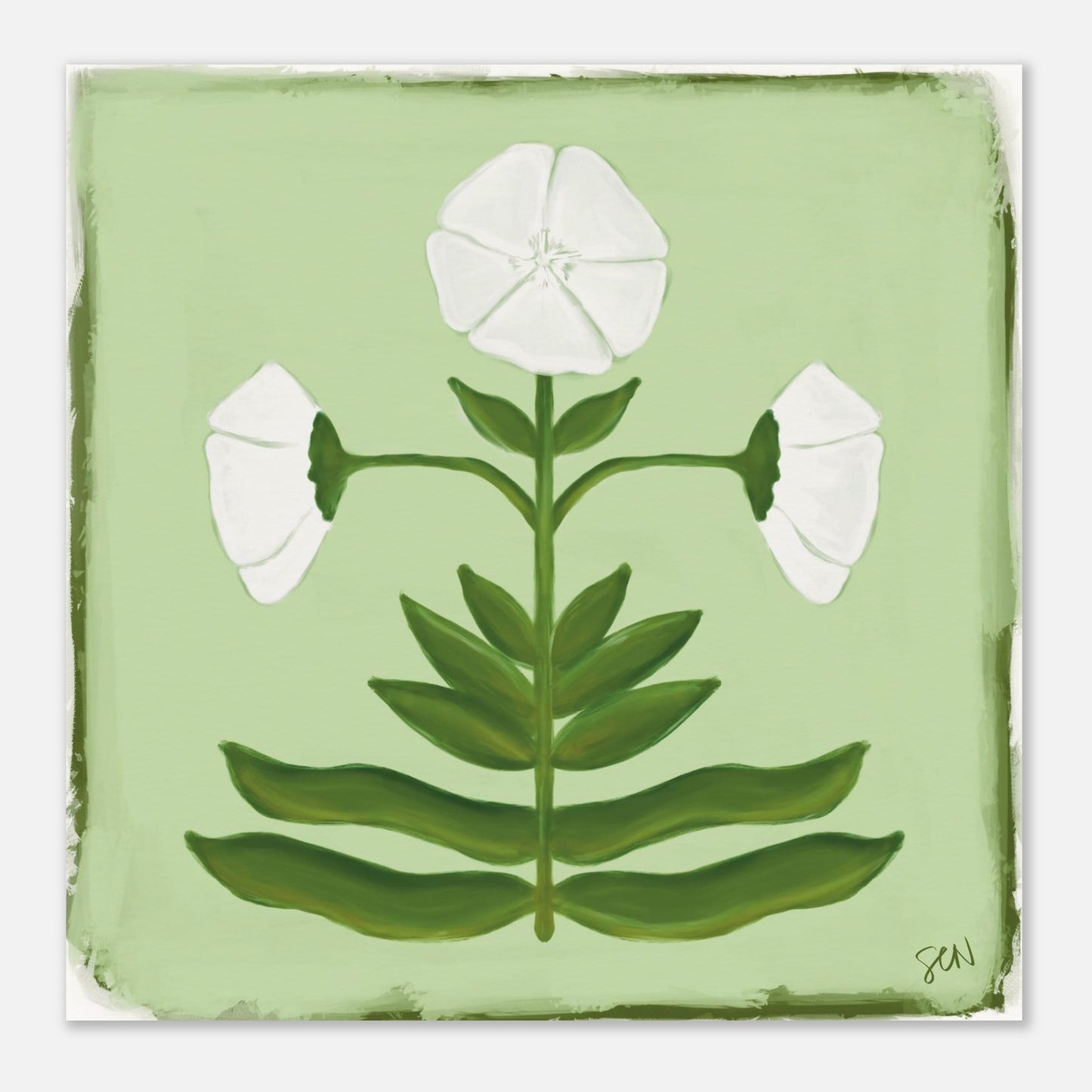 illustration of white flower with green leaves on a light green background