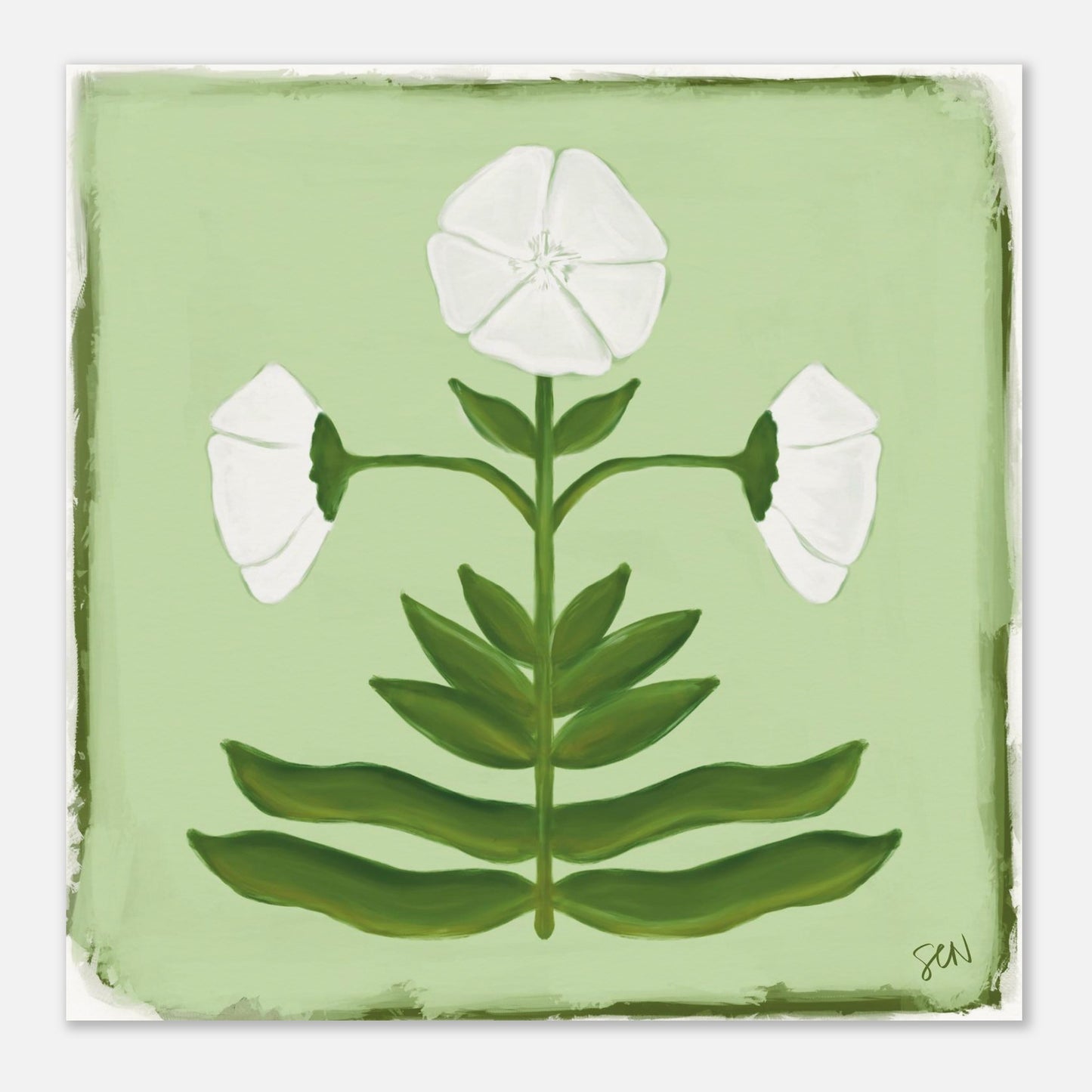 illustration of white flower with green leaves on a light green background