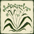 The Painted Garden Print No. II - Evergreen Print Material Artisen Avenue 