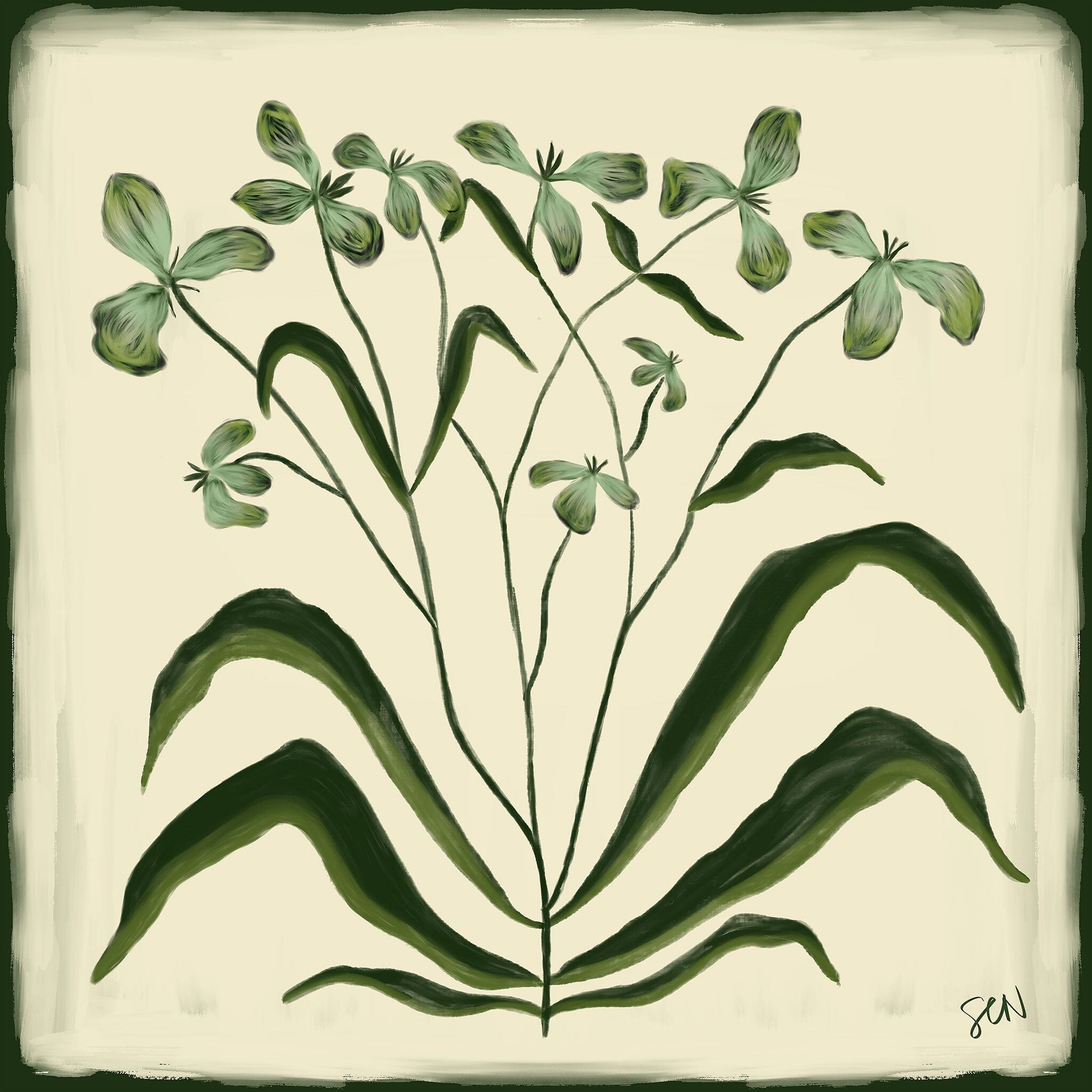 The Painted Garden Print No. II - Evergreen Print Material Artisen Avenue 