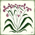 The Painted Garden Print No. II - Ivory Print Material Artisen Avenue 