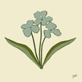 The Painted Garden Print No. V - Beige Print Material Artisen Avenue 