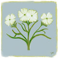Wild Bloom Print - Bay Print Material Artisen Avenue 